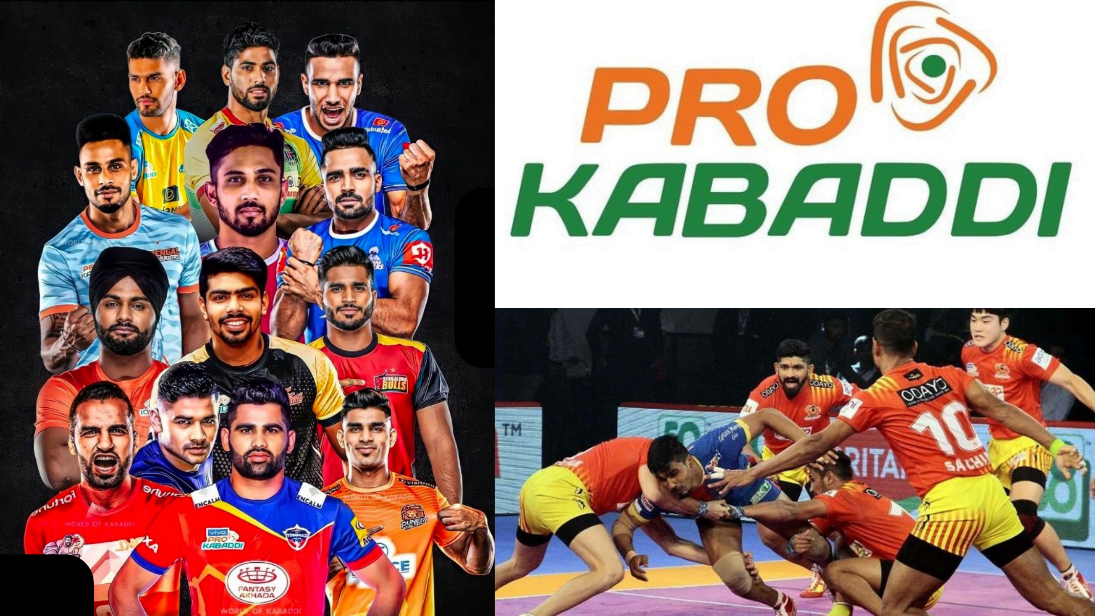 2024 Pro Kabaddi League Season 10